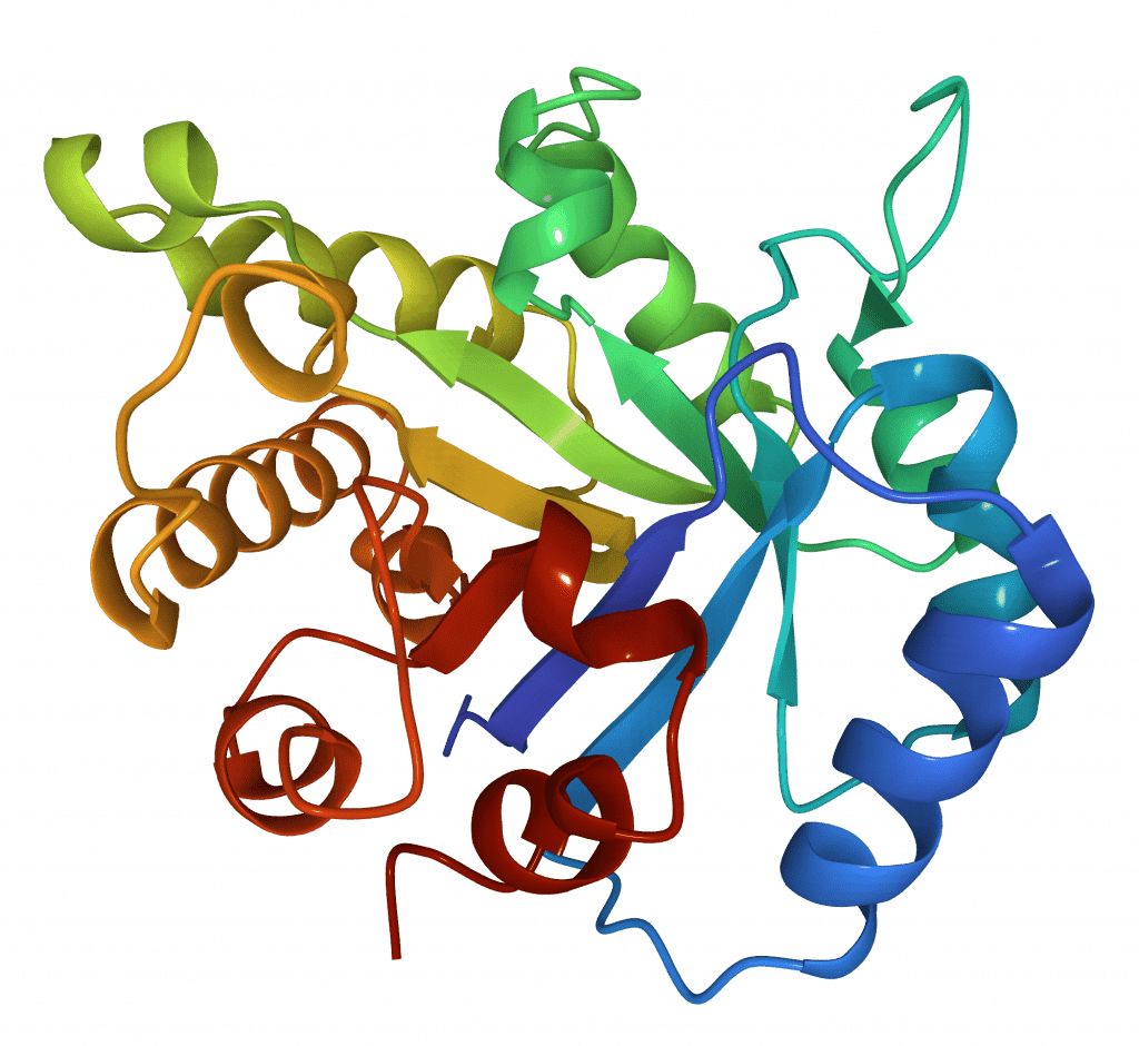 Peptide visualization data